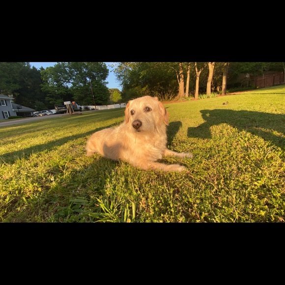 Meet your Posher, Ben - Picture 14 of 16